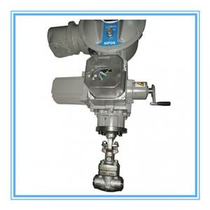 Stainless steel globe valve